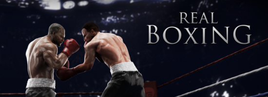 Real Boxing Banner