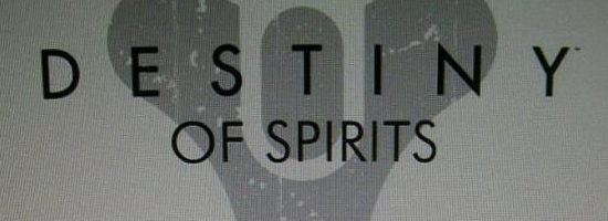 Destiny of Spirits Banner